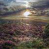 Sunset over Exmoor.jpg. Keywords: Andy Morley;??????????????????????????????????????????????????